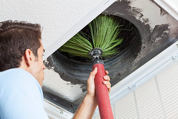 Best Air Duct Cleaning Near Me  in Brusly, LA
